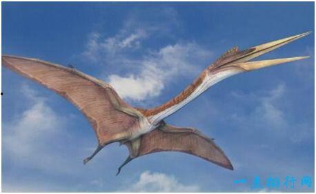 风神翼龙最新爆料视频,揭秘神秘生物的进化之谜 第3张 风神翼龙最新爆料视频,揭秘神秘生物的进化之谜 第3张